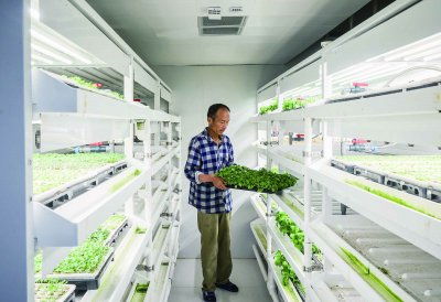 浦口節水型育苗技術實現突破，節水率達50%并啟動全國推廣與技術轉讓